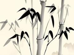 關(guān)于袁姓你知道多少 袁姓的人