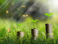 夢見被猴子追趕