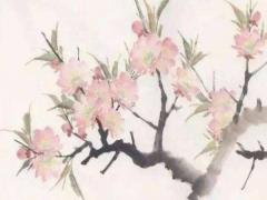 比屬龍大四歲屬相是什么,比大龍小四歲屬什么