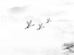 八字婚姻口訣 八字婚姻口決