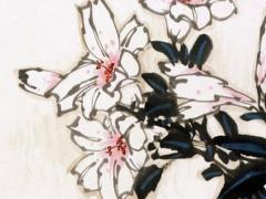 屬鼠人2024龍年運勢怎么樣 屬鼠2024年運勢及運程詳解