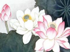 處座男對喜歡的女生表現 處座男對有好感的女生表現