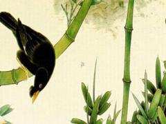 肖牛人2024年總體運程 屬牛2024年運勢及運程每月運程大家找算命網