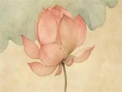 八字官殺齊透大富貴論 女命官殺齊透