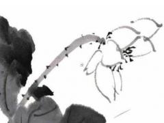 屬蛇男人的婚姻的最佳婚配 男屬蛇的婚姻最佳配偶