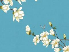 三元總錄合婚 三元合婚準(zhǔn)不準(zhǔn)