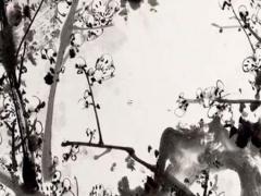 李洪成八字斷婚姻 李洪成八字視頻教程全集