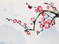 楊洋的生辰八字是多少號(hào) 楊洋出生日期時(shí)間