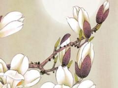 生肖屬豬是哪一年,屬豬是哪一年生的？