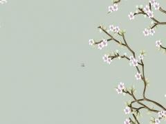 安家孫儷為什么要外八字 安家里孫儷為什么拿傘