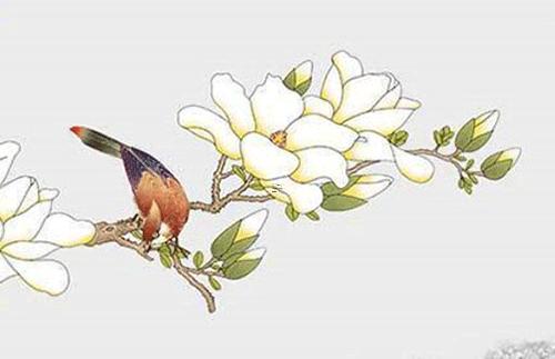 男屬龍女屬豬,男屬龍女屬豬能結婚嗎 男屬龍女屬豬,男屬龍女屬豬能結婚嗎