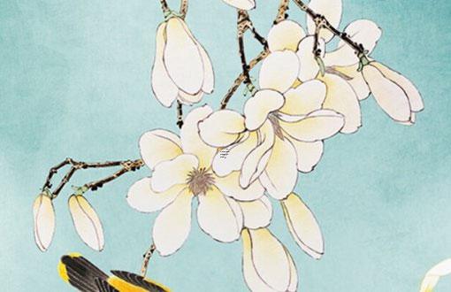 別人用我的八字算命好不好 別人用自己的生辰八字可以做什么 別人用我的八字算命好不好 別人用自己的生辰八字可以做什么