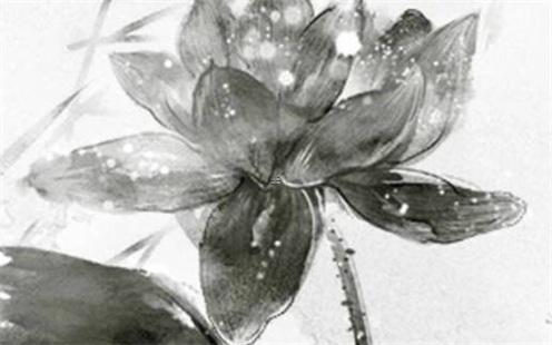 男虎的婚配屬相更好 男虎婚姻配什么生肖好