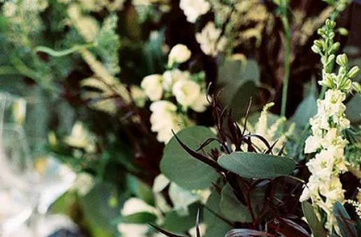 愛身體出軌的星座女 愛身體出軌的星座女