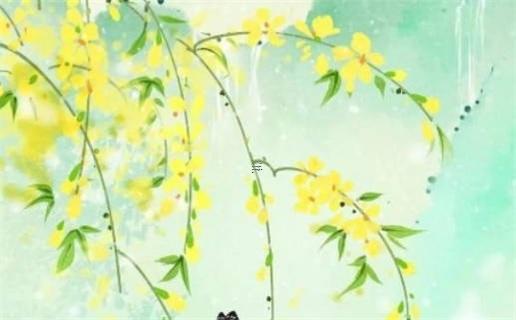 屬兔的老婆,屬兔的老婆能不能給屬虎的老公帶來運氣