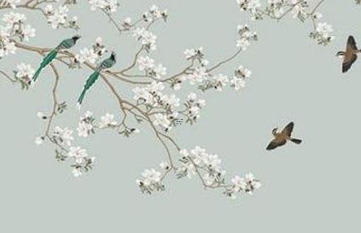 招財佛手養護圖片大全 招財佛手修剪圖解