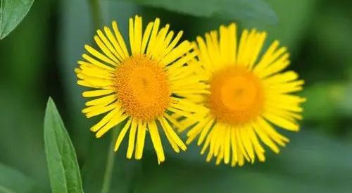 夢見河水漲潮波濤洶涌 夢見河水漲潮波濤洶涌