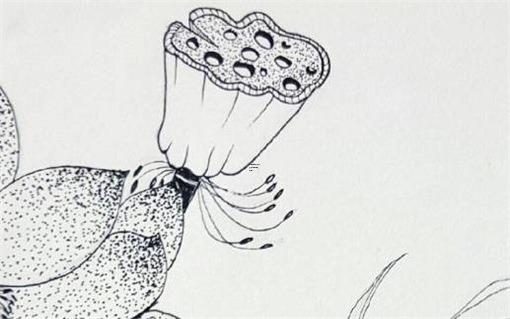 免費測算婚姻感情的方法，生辰八字測試一生的命運