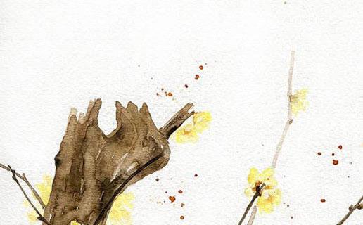 寶寶男名怎么取好聽的名字 寶寶男名怎么取好聽的名字