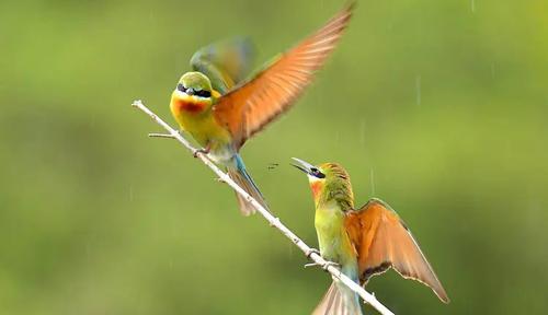 女人夢見自己和鬼對抗 女人夢見自己和鬼對抗