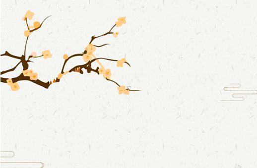 施華蔻發膜怎么用 施華蔻發膜多少錢一瓶