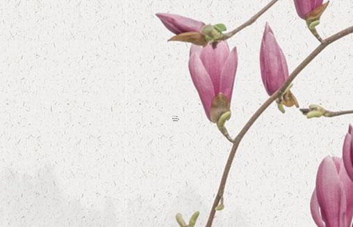 能嫁軍人的女命八字 什么樣的八字能嫁軍官 能嫁軍人的女命八字 什么樣的八字能嫁軍官