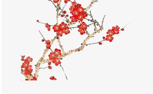 好聽的名字英語