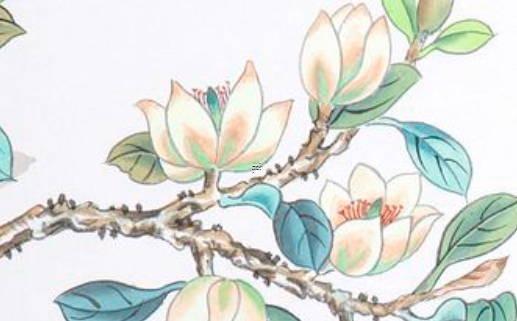 女性長輩過生日送什么禮物最好 女性長輩的生日禮物 女性長輩過生日送什么禮物最好 女性長輩的生日禮物