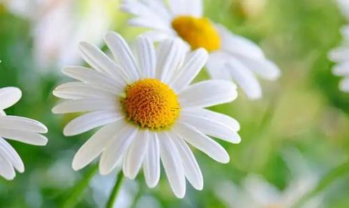 女人夢見親眼看到爆炸 女人夢見親眼看到爆炸