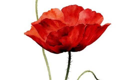 如何給寶寶們?nèi)€詩歌一樣的好名字 寶寶起名詩詞歌賦 如何給寶寶們?nèi)€詩歌一樣的好名字 寶寶起名詩詞歌賦