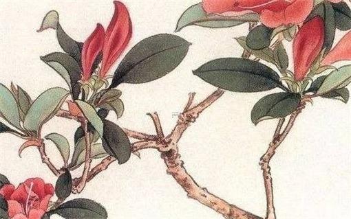 屬兔的當(dāng)兵好不好,屬兔的人呢