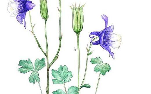 王者榮耀名字特殊符號怎么打上去 王者名字里的特殊符號怎么打 王者榮耀名字特殊符號怎么打上去 王者名字里的特殊符號怎么打