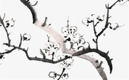 屬豬和十二生肖婚配表,屬豬的和豬屬相最配最合適呢 屬豬和十二生肖婚配表,屬豬的和豬屬相最配最合適呢