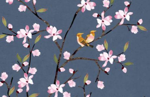 3月份的兔命運如何 三月份屬兔命運怎么樣