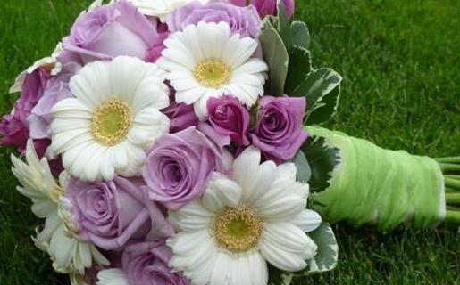 十二星座值得炫耀的閃光點有哪些? 十二星座值得炫耀的閃光點有哪些?