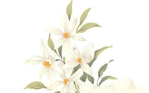 屬虎的和龍屬相最配嗎 屬虎的和屬龍相最配怎么樣 屬虎的和龍屬相最配嗎 屬虎的和屬龍相最配怎么樣