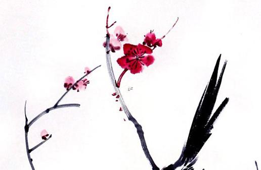 紅河河口到八字河 紅河河口汽車站 紅河河口到八字河 紅河河口汽車站