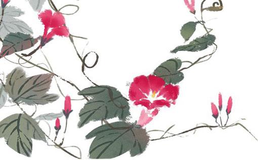 什么屬相最旺屬虎的人 屬虎人的終身貴人 什么屬相最旺屬虎的人 屬虎人的終身貴人