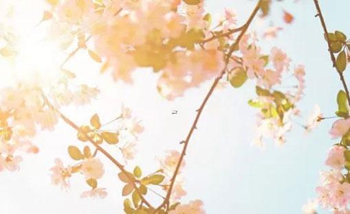 什么名字兩個字的好聽 什么名字兩個字的好聽