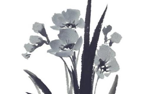 2024年臘月十四 2024年臘月十四星宿 2024年臘月十四 2024年臘月十四星宿