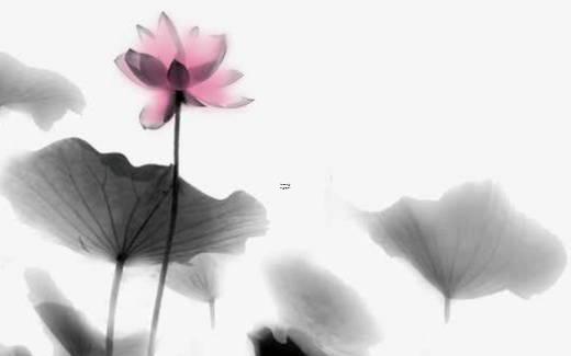 八字問真免費排盤，八字命盤自動解讀免費