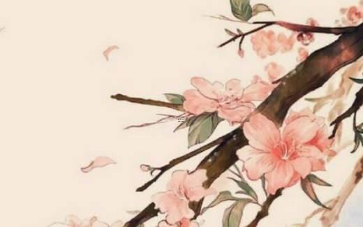 婚配主要看哪些合不合 婚姻配對看什么最準確 婚配主要看哪些合不合 婚姻配對看什么最準確