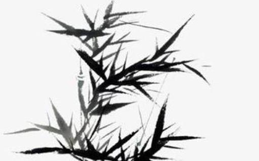 屬蛇吉利微信頭像，屬蛇的微信頭像最招財最平安