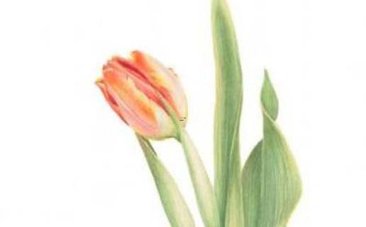 好聽的地方名字虛構 好聽的地方名字虛構