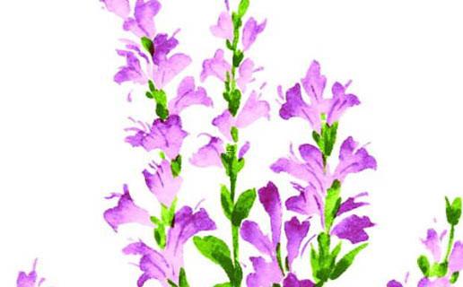 好聽微信名字簡單大全 好聽微信名字簡單大全女生 好聽微信名字簡單大全 好聽微信名字簡單大全女生