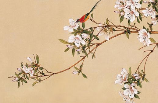 屬羊的和屬兔的婚配怎么樣啊女生 屬羊和屬兔婚姻好不好 屬羊的和屬兔的婚配怎么樣啊女生 屬羊和屬兔婚姻好不好