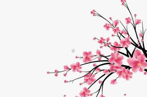 89年屬蛇男2024年運勢 86年屬虎男在2024年的運勢和財運 89年屬蛇男2024年運勢 86年屬虎男在2024年的運勢和財運