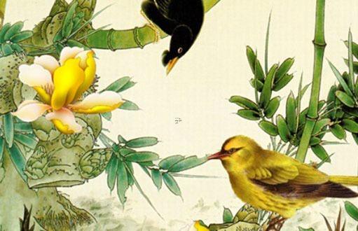 八卦生辰八字查詢 生辰八字卦象查詢 八卦生辰八字查詢 生辰八字卦象查詢