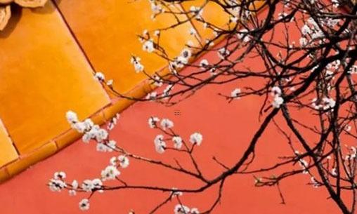 qq情侶網(wǎng)名繁體字 qq情侶網(wǎng)名繁體字帶符號(hào)