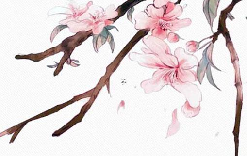 八字五行什么多比較好 生辰八字中五行什么多就是什么命嗎